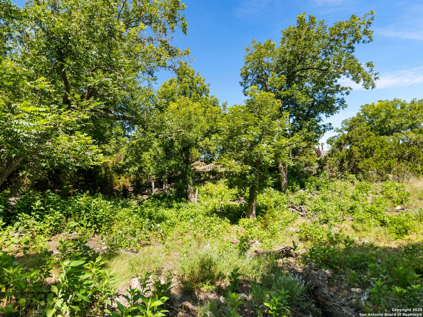 main property photo 79