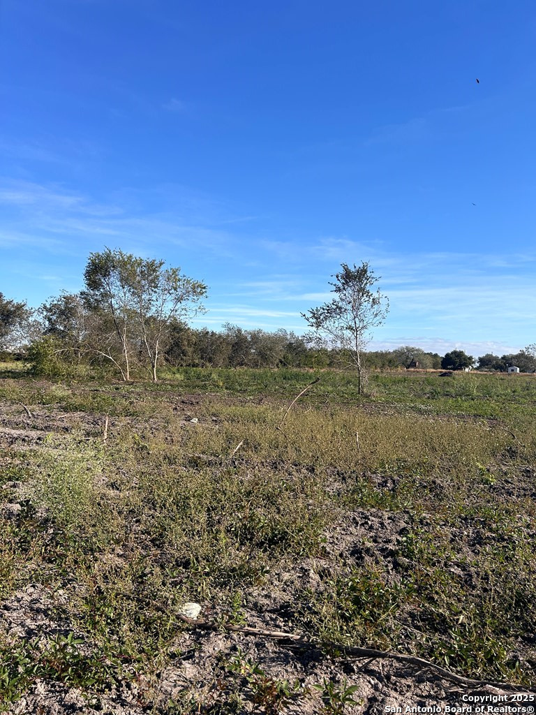 main property photo 13