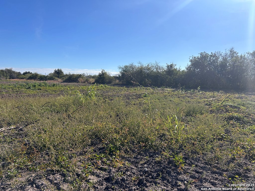 main property photo 9