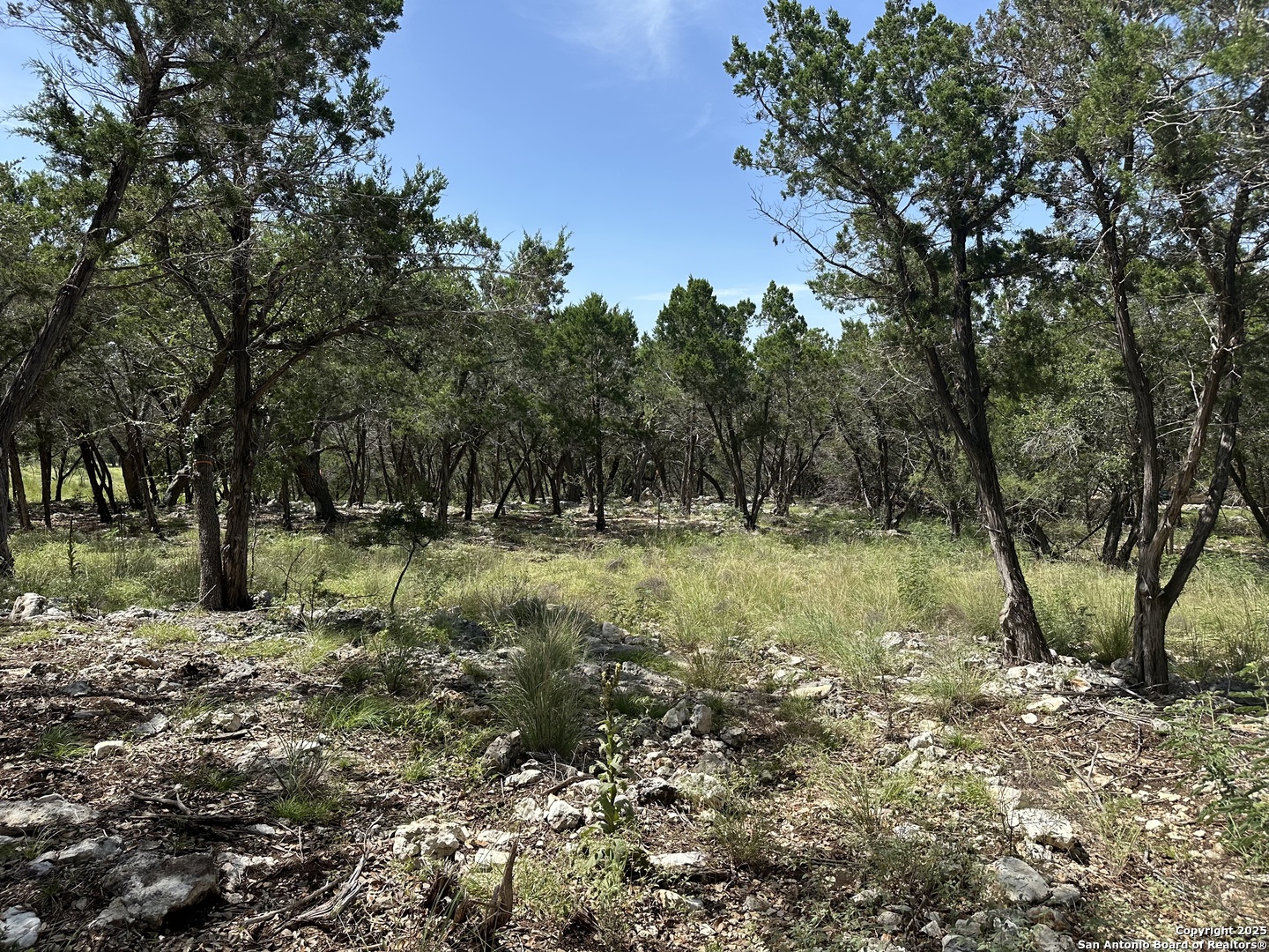 main property photo 10
