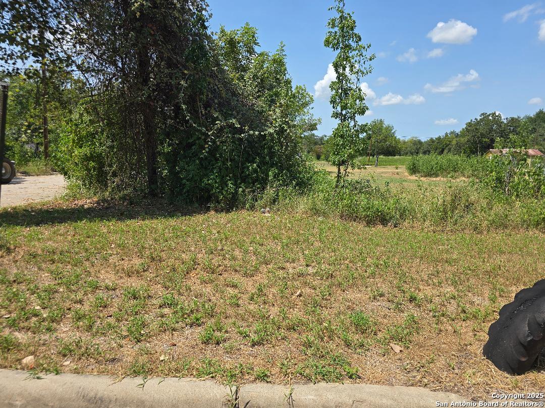 main property photo 5