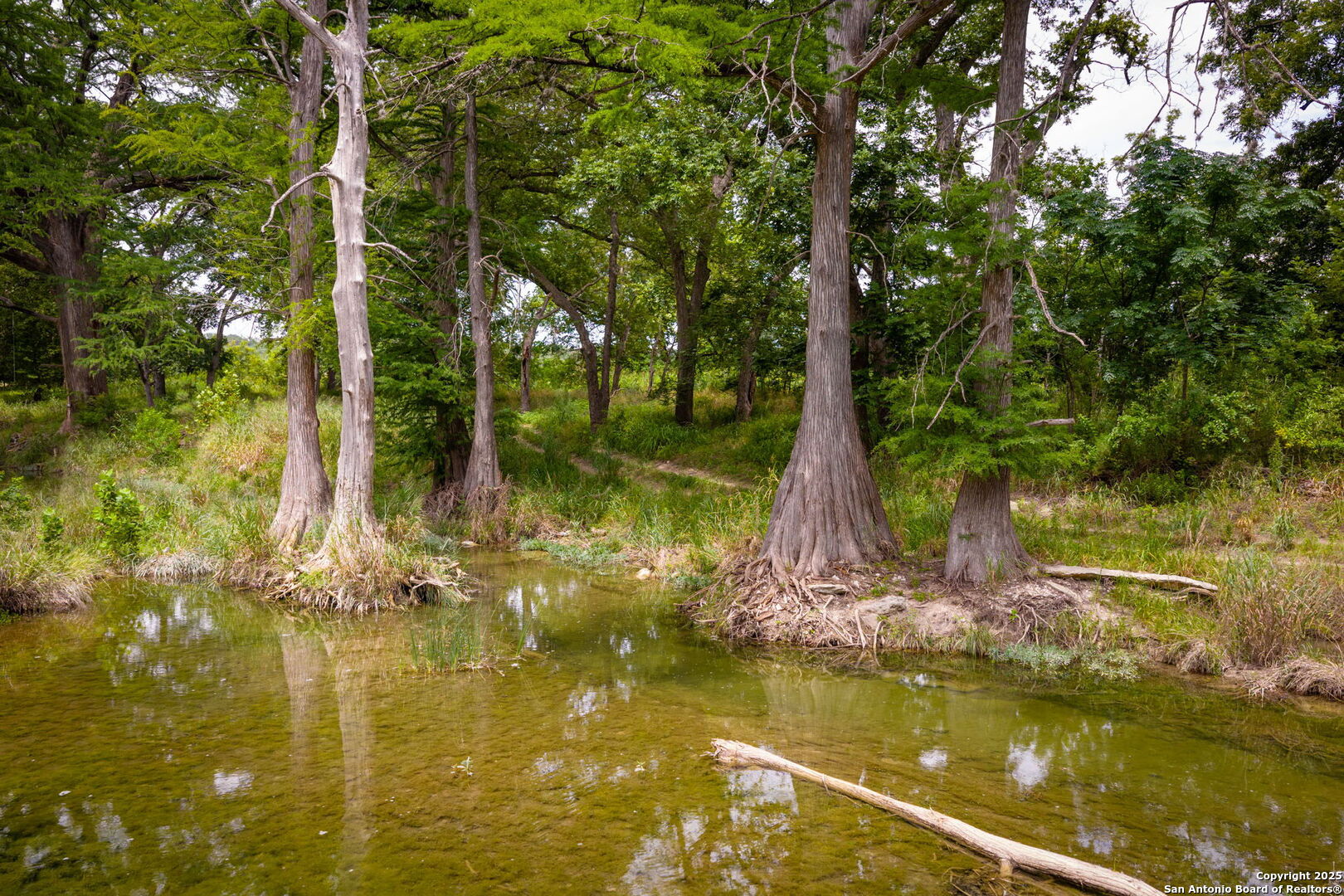 property viewer photo 44
