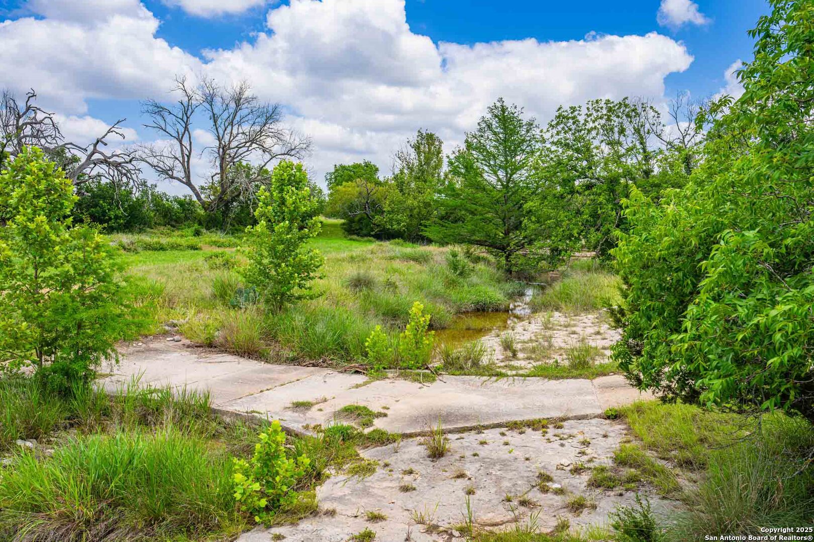 main property photo 17