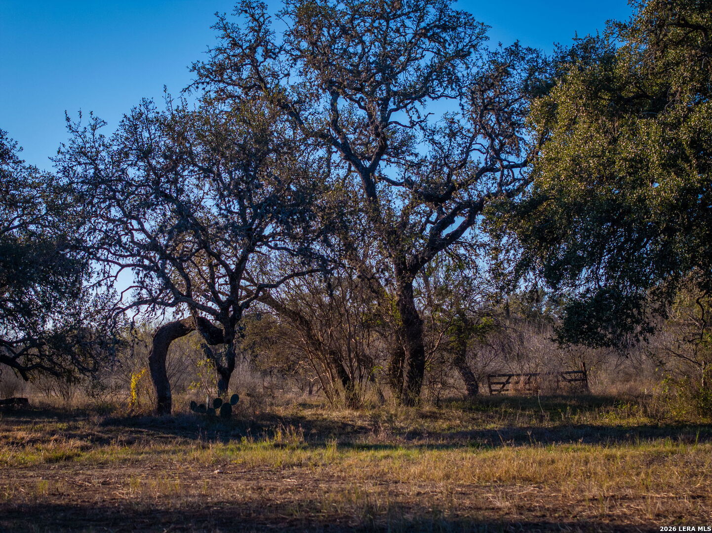 main property photo 53