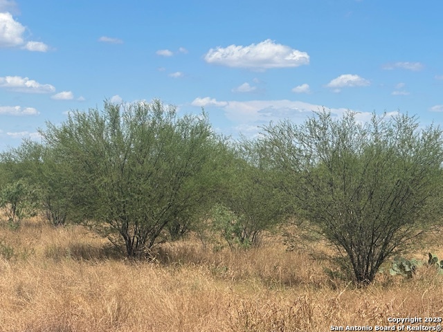 main property photo 10