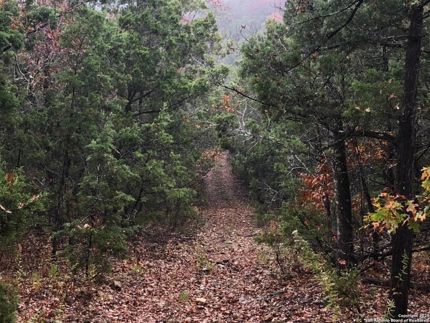 main property photo 44