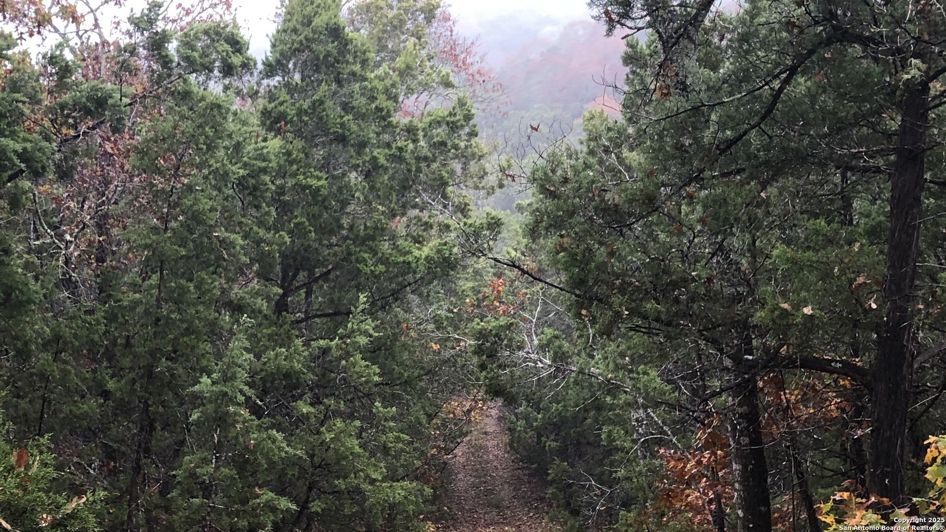 main property photo 49