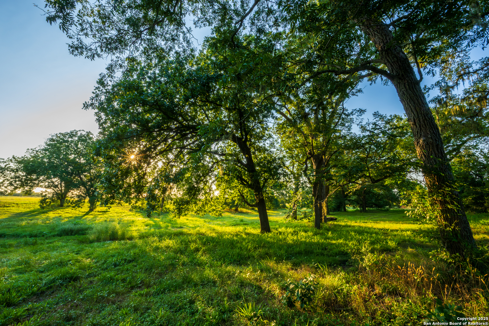 main property photo 45