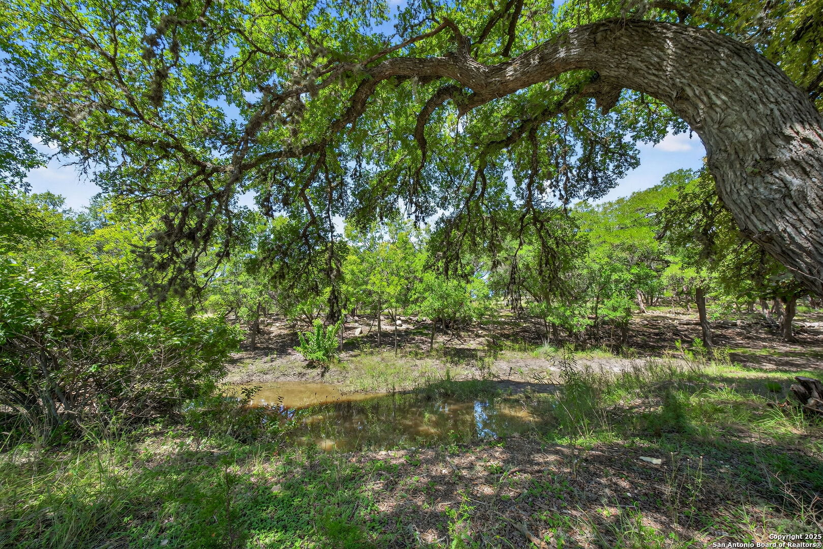 main property photo 27