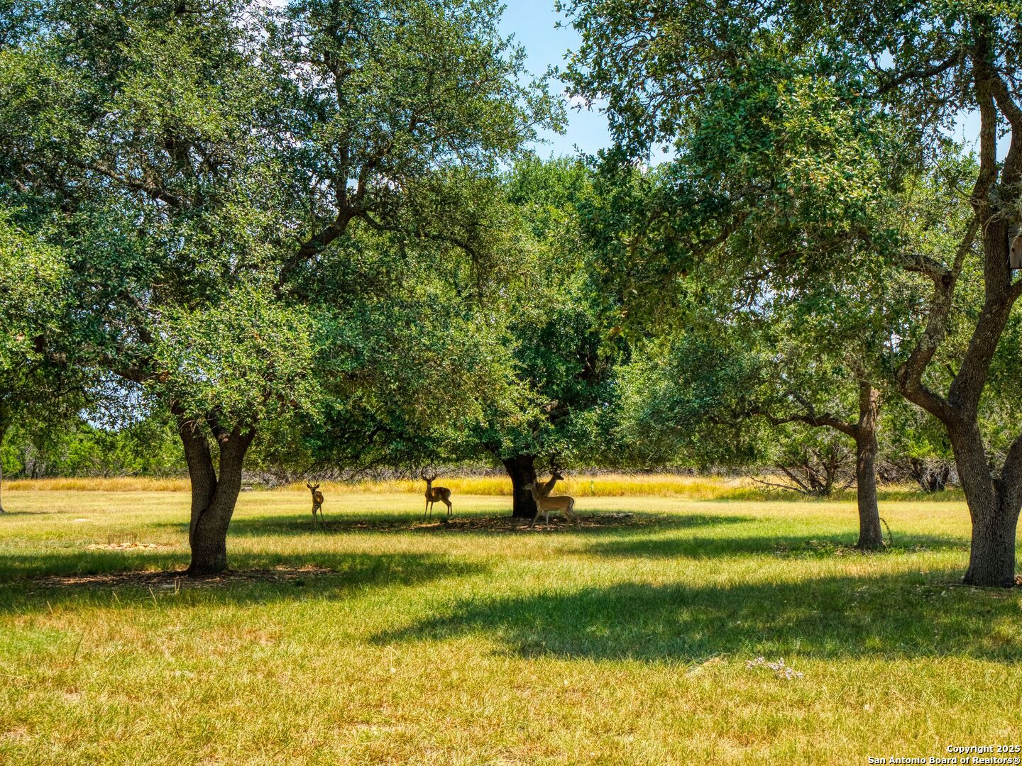 main property photo 34
