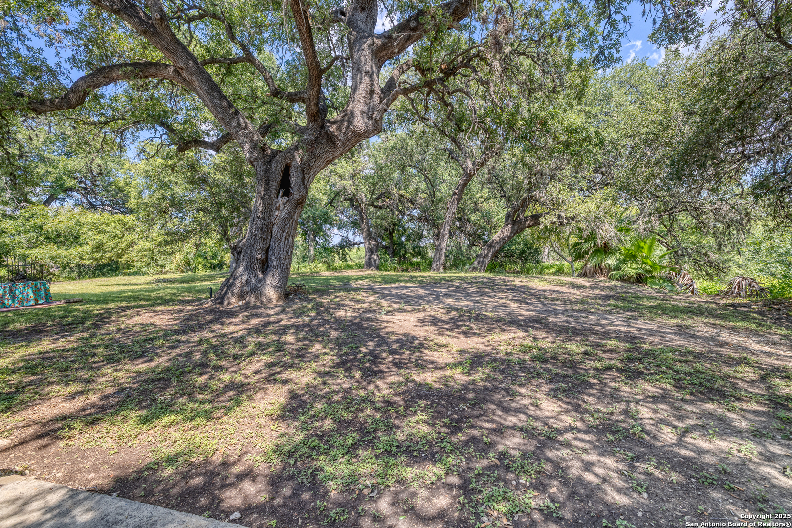 main property photo 4