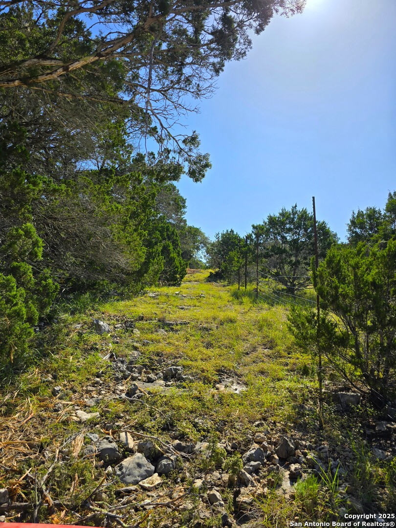 main property photo 43