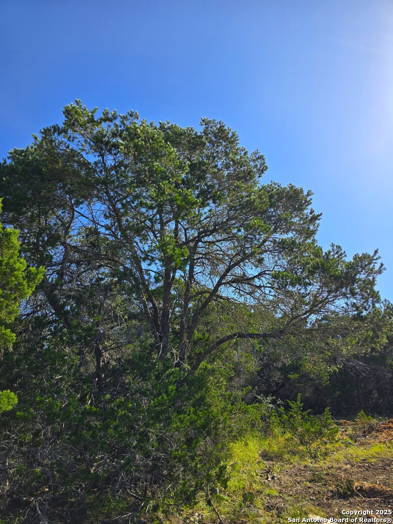 main property photo 44