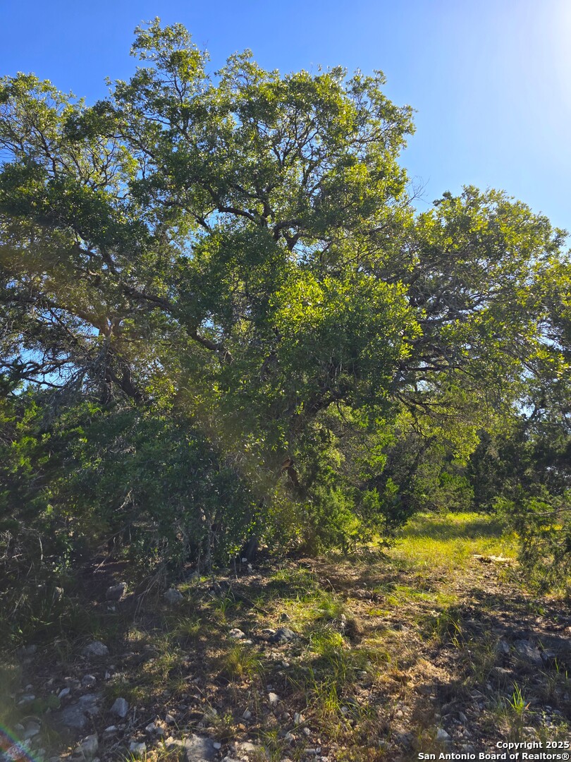 main property photo 47
