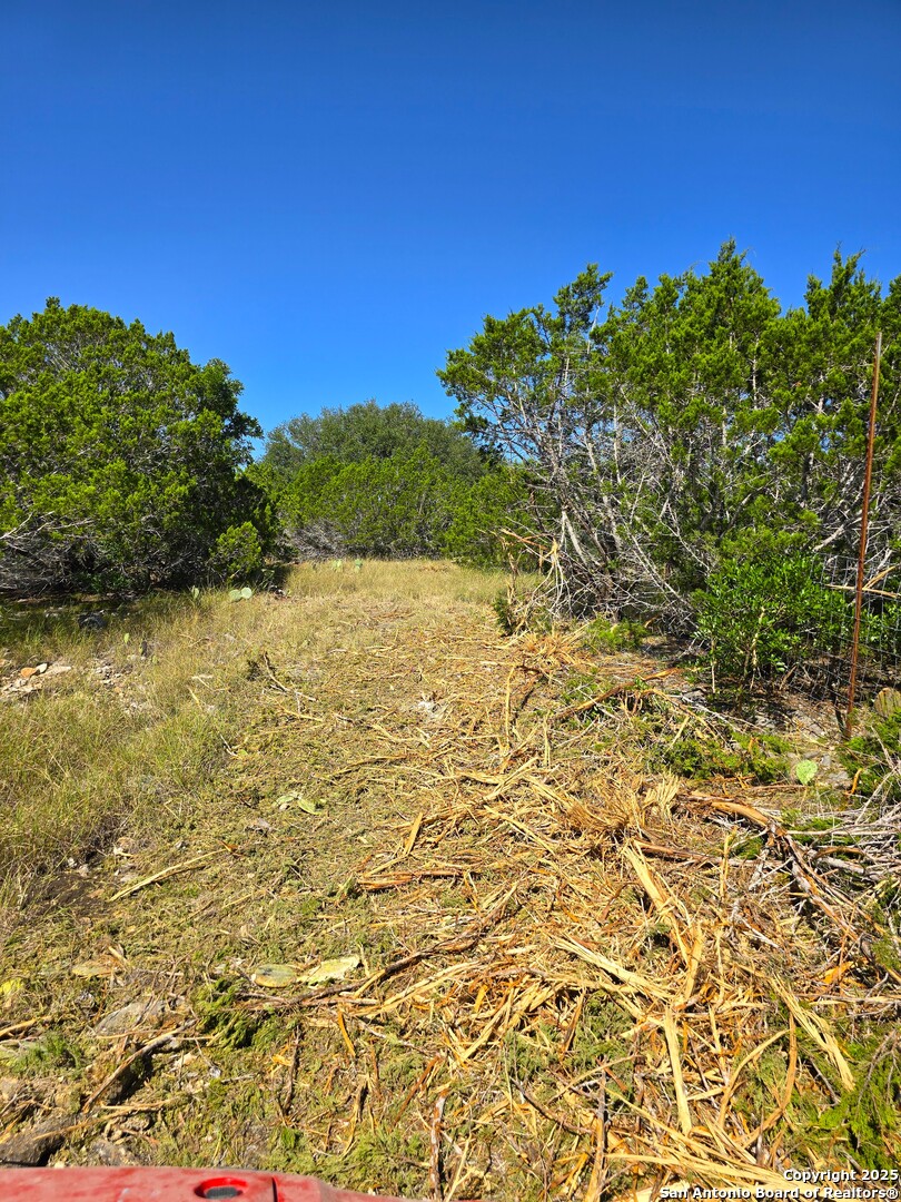 main property photo 59