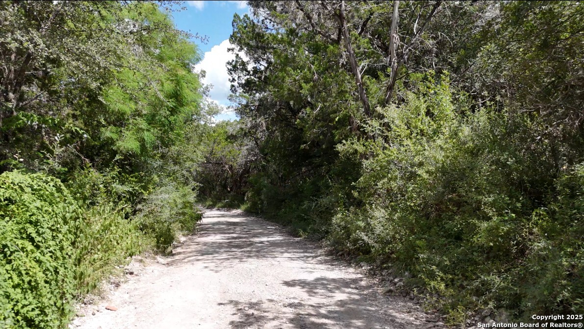 main property photo 39