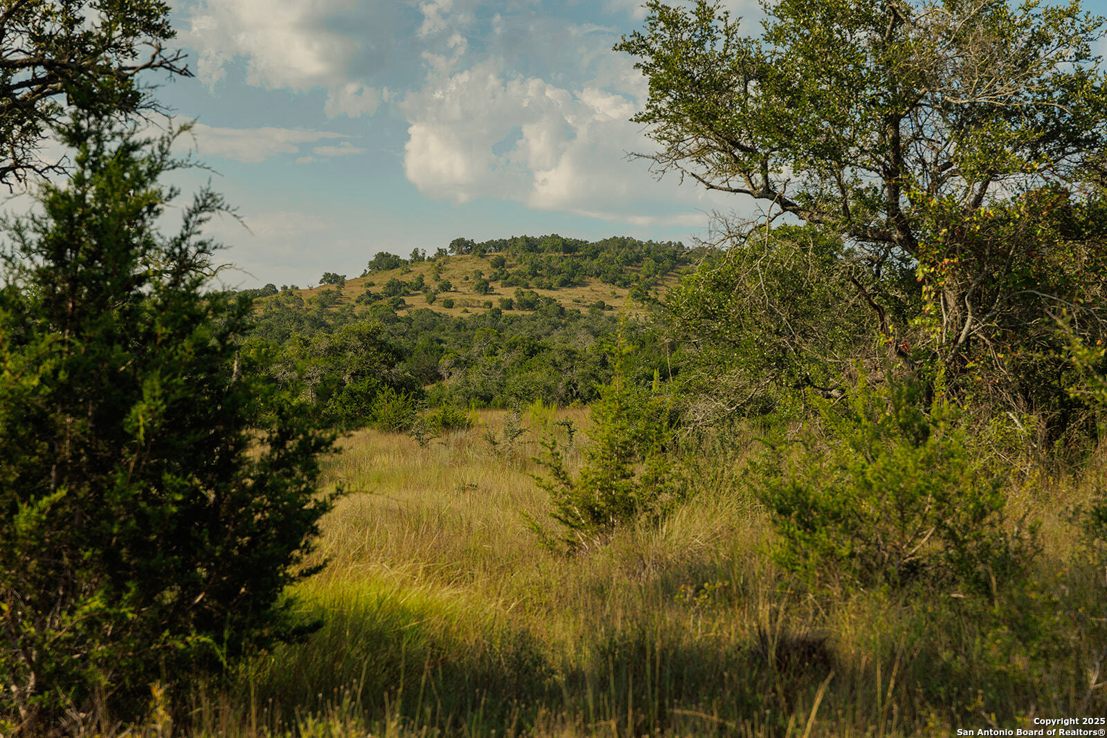 main property photo 45