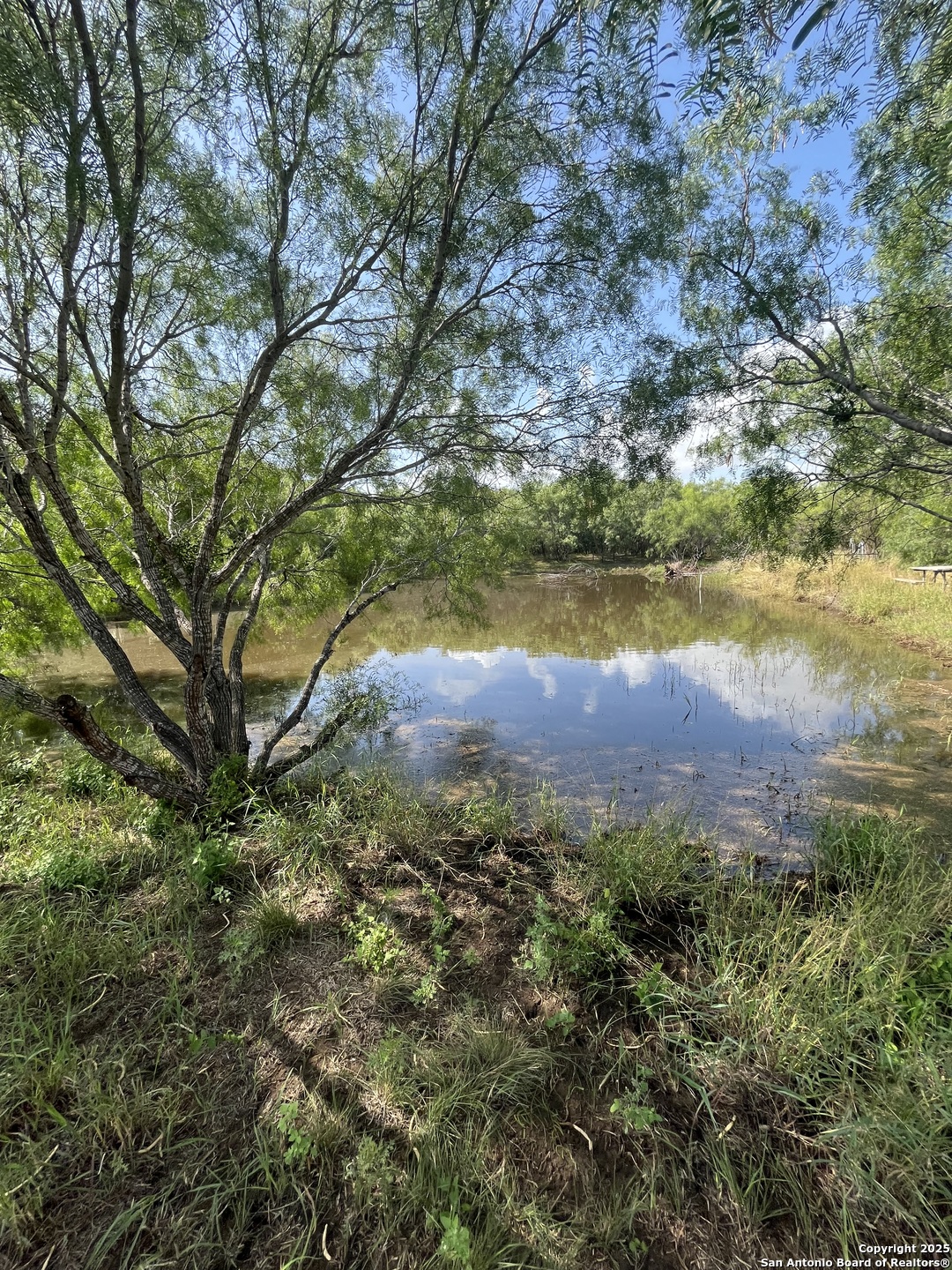 main property photo 11