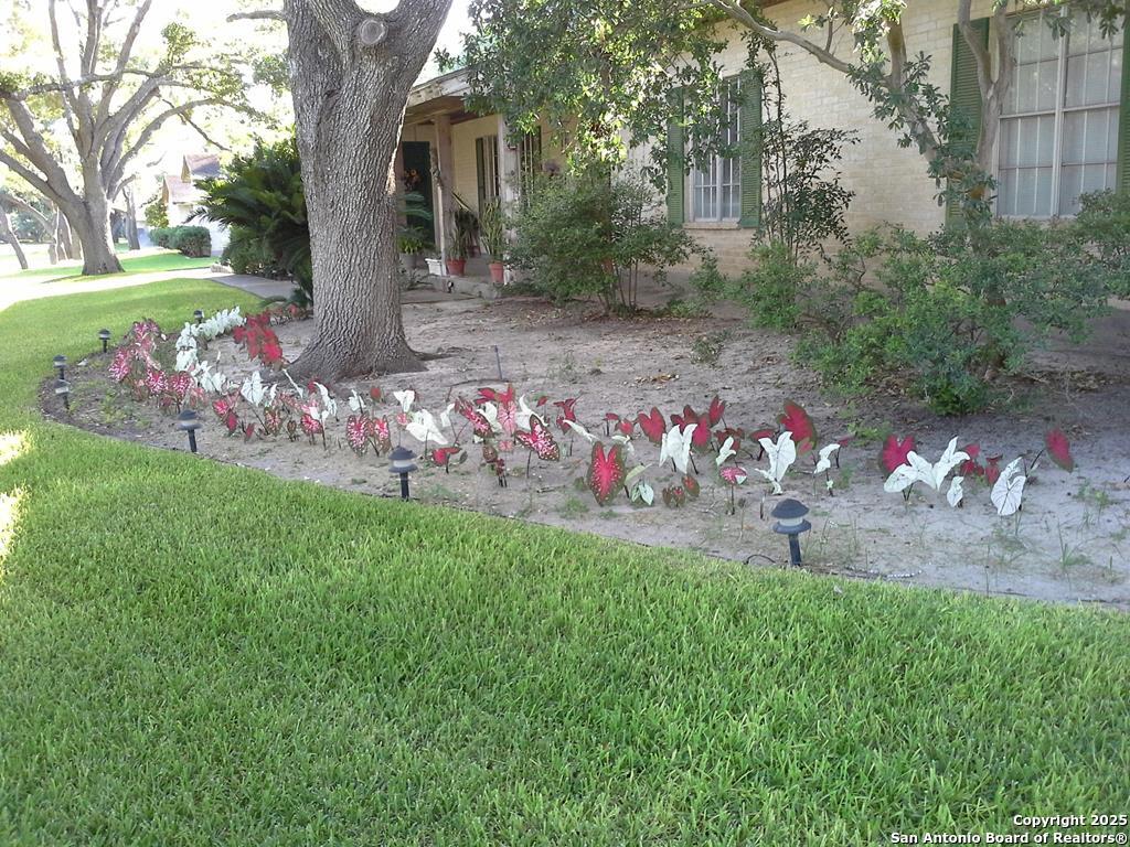 main property photo 9