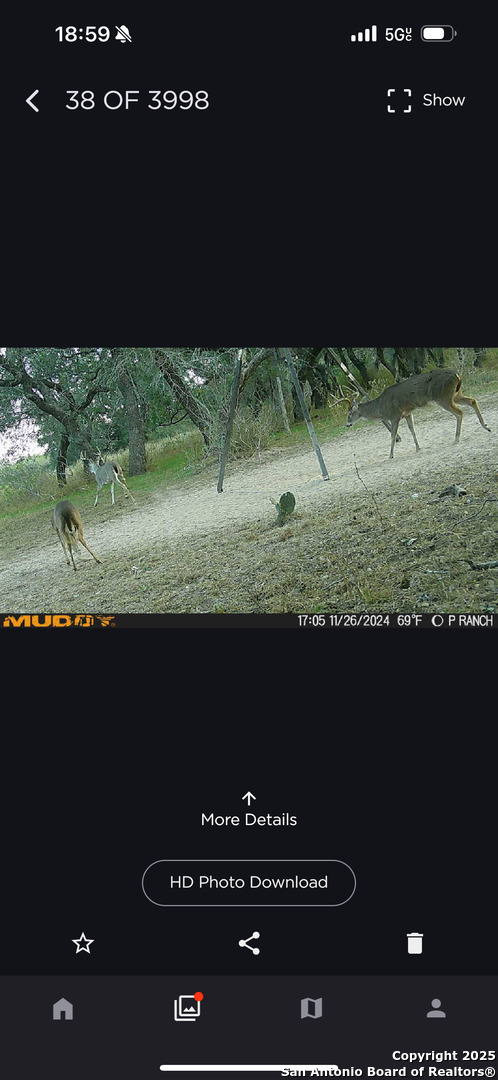 main property photo 37