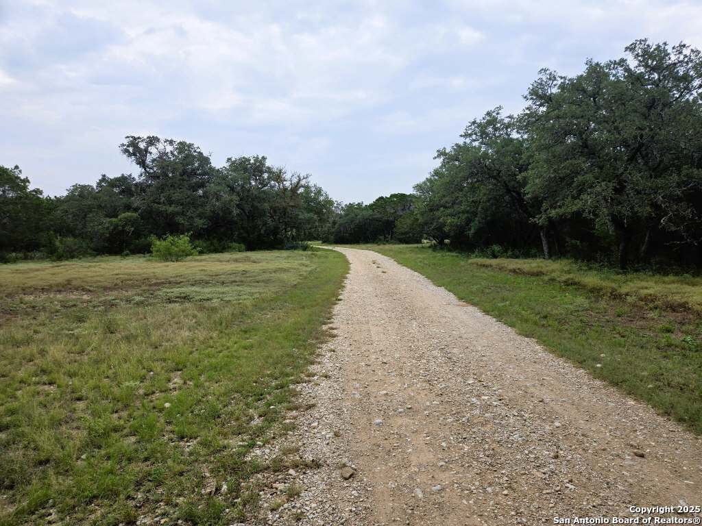 main property photo 50