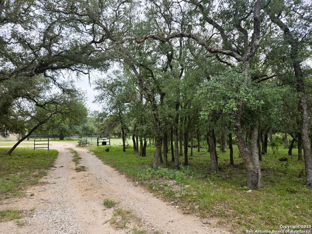 main property photo 52