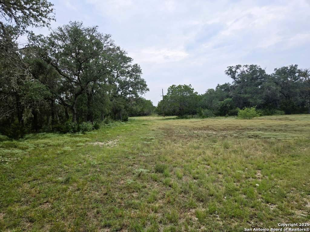 main property photo 53