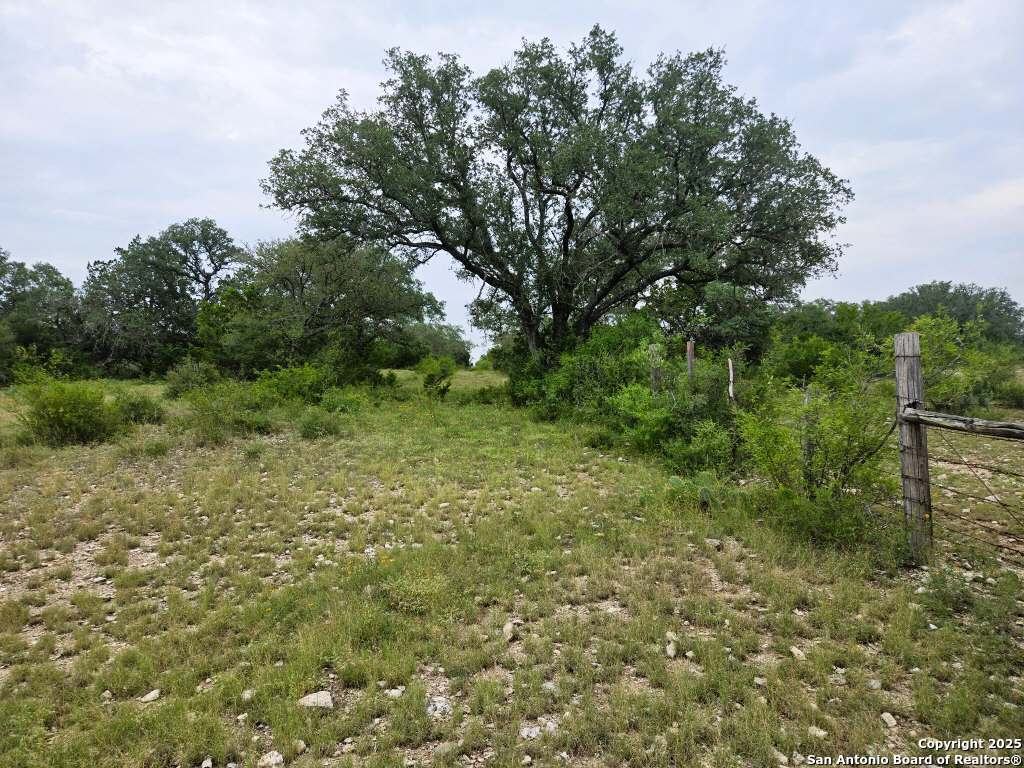 main property photo 56
