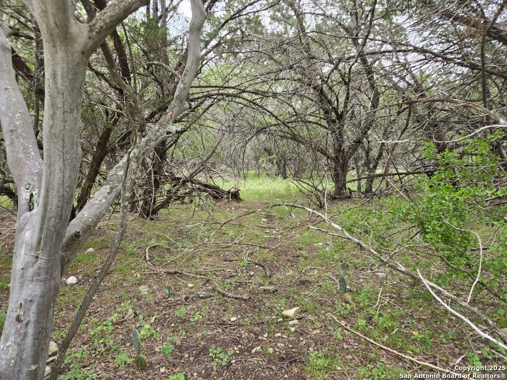 main property photo 57