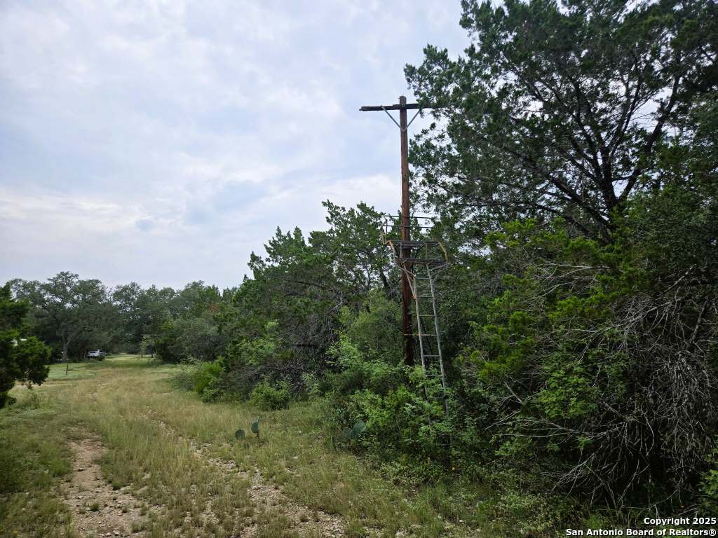 main property photo 58