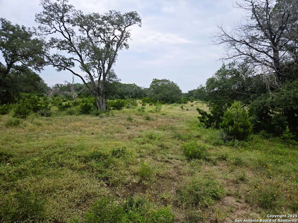main property photo 59
