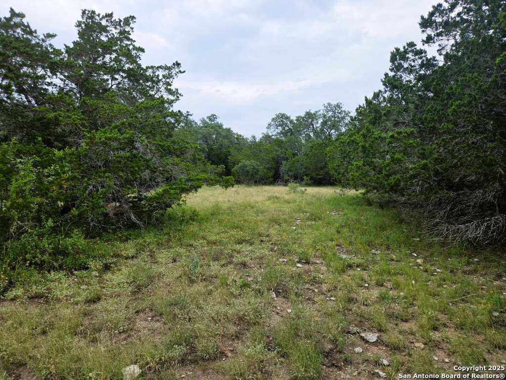 main property photo 60