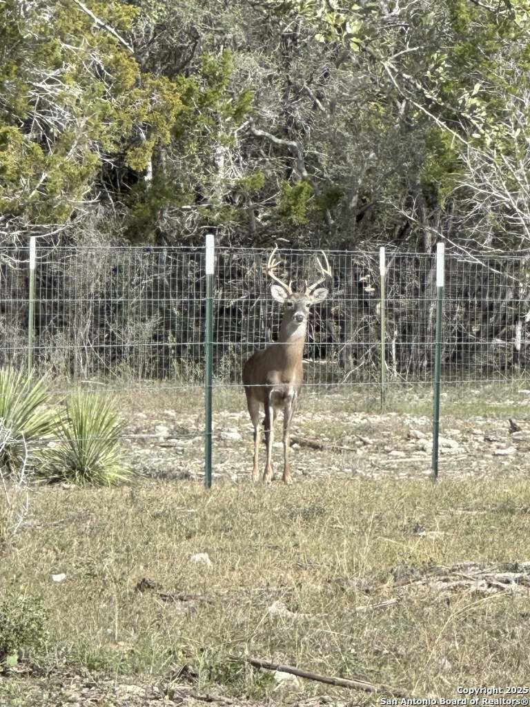main property photo 61