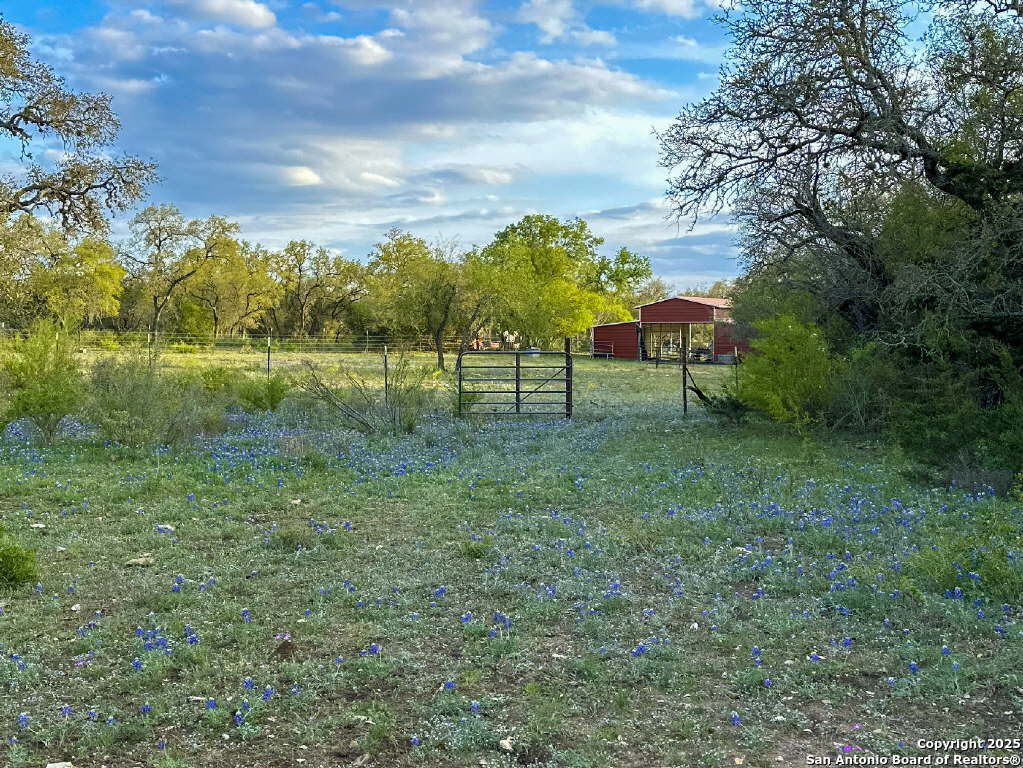 main property photo 62