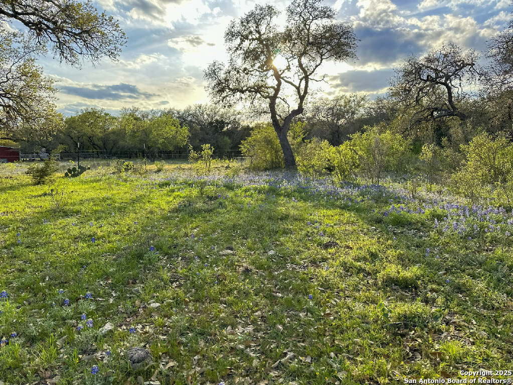 main property photo 63