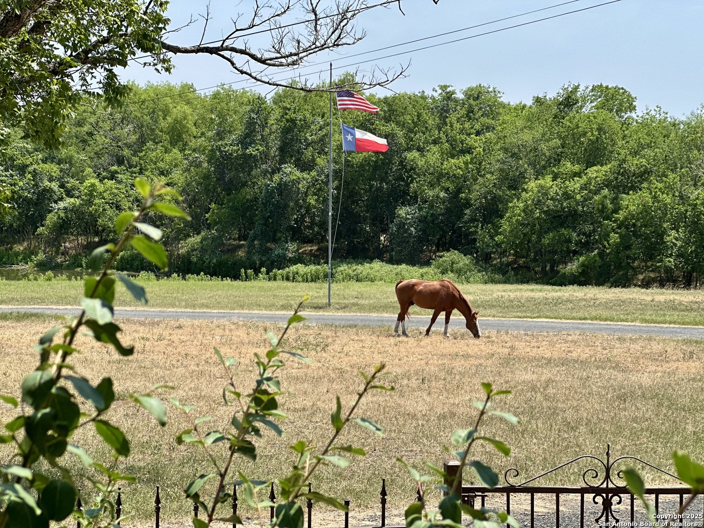 main property photo 18