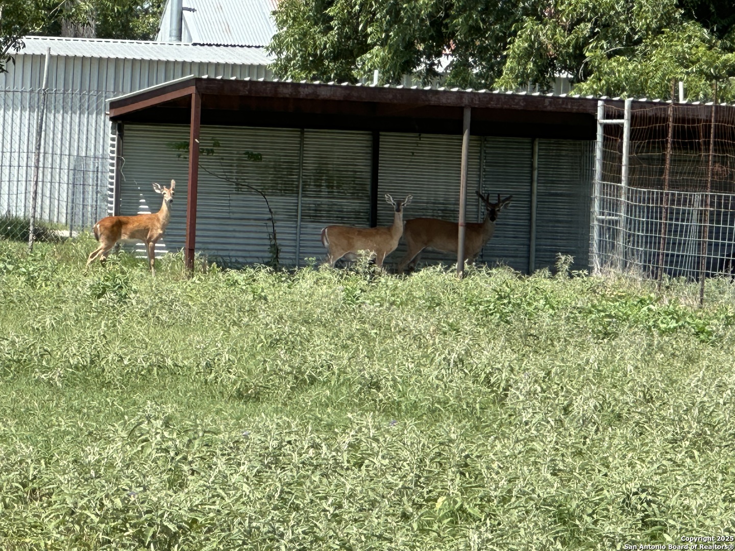 main property photo 20