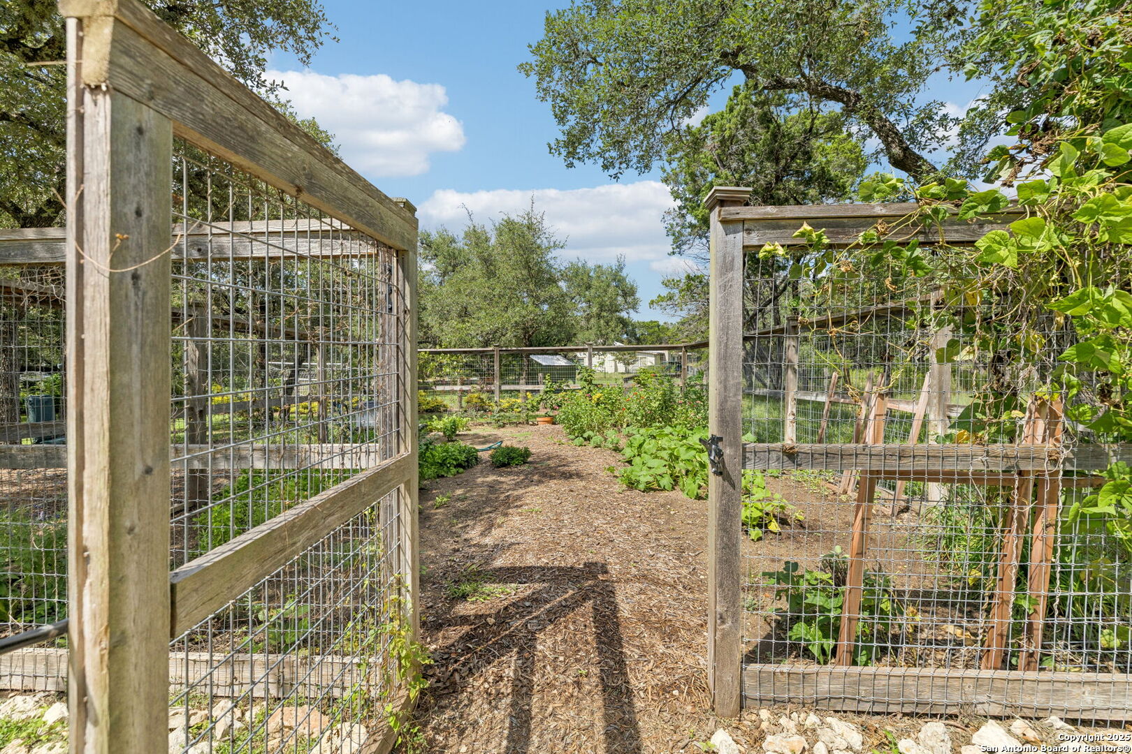 property viewer photo 66