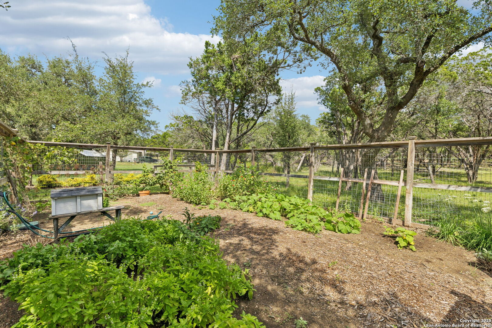 property viewer photo 67