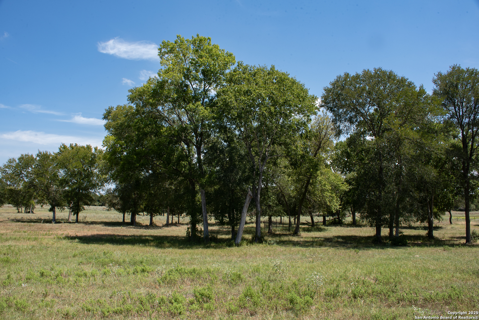 main property photo 40