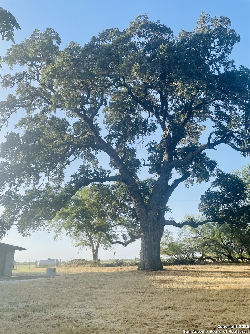 main property photo 18