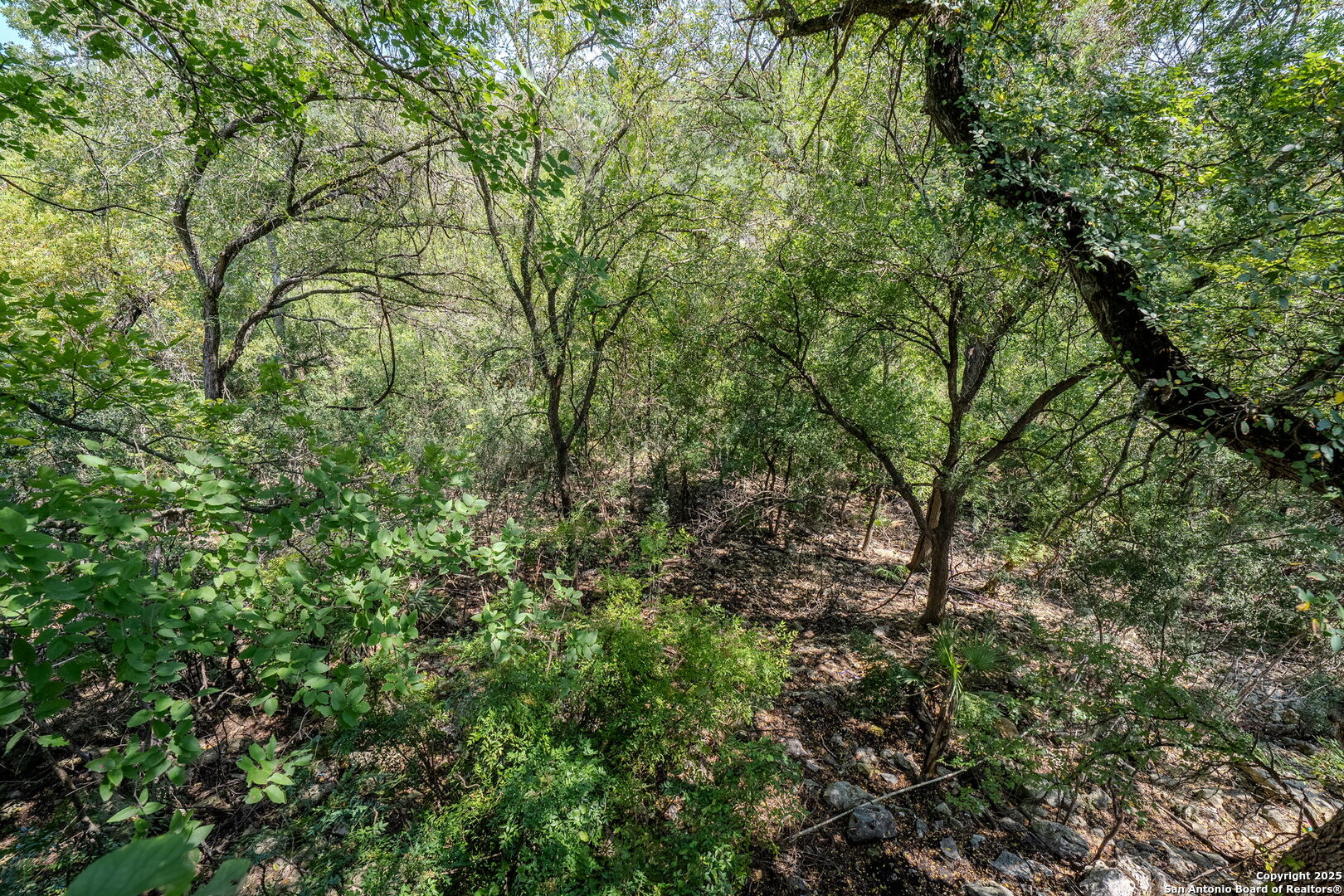 main property photo 35