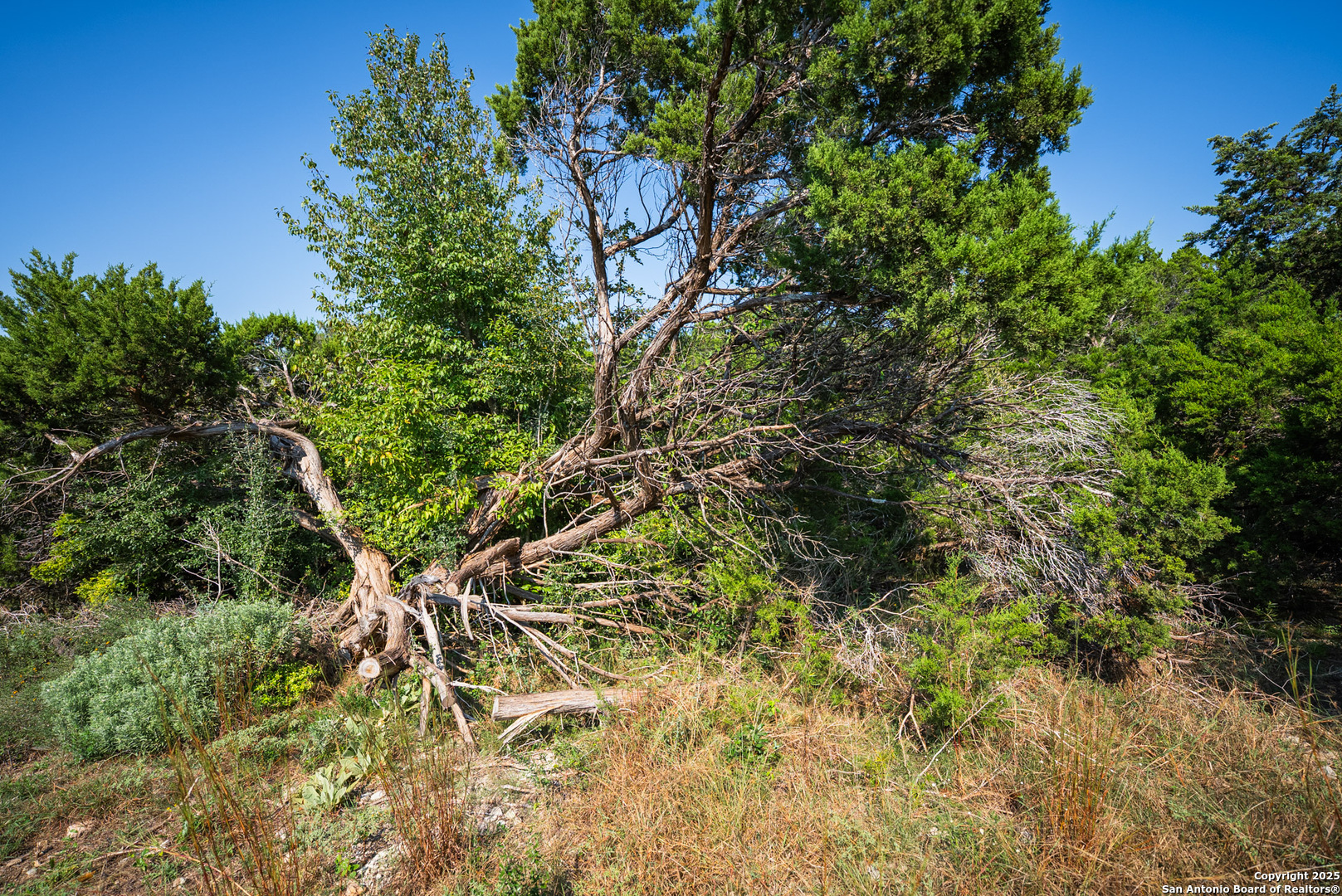 main property photo 11