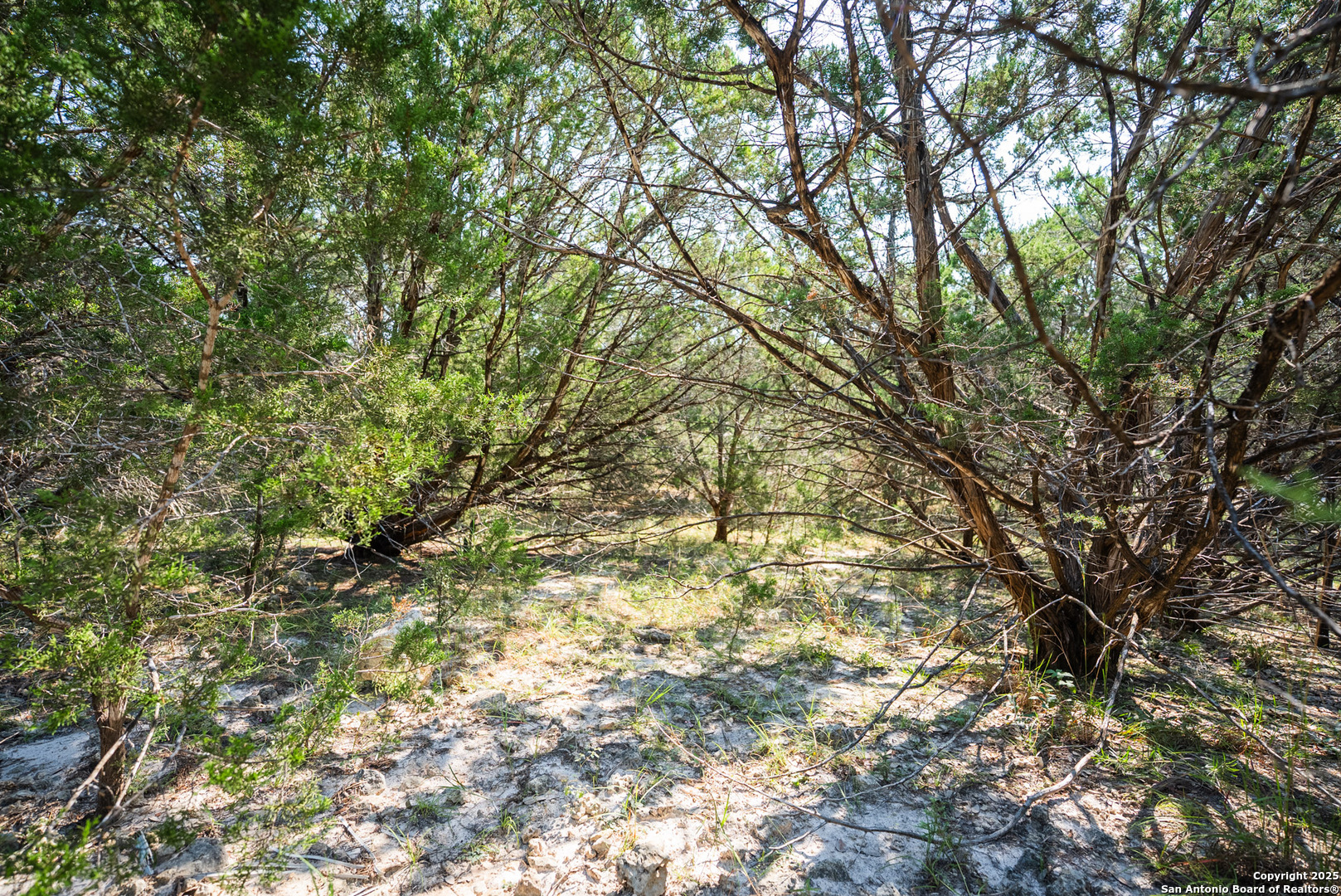 main property photo 13