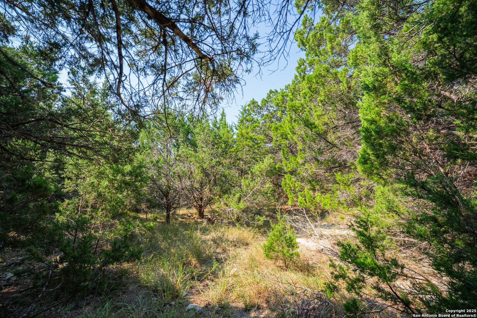 main property photo 17