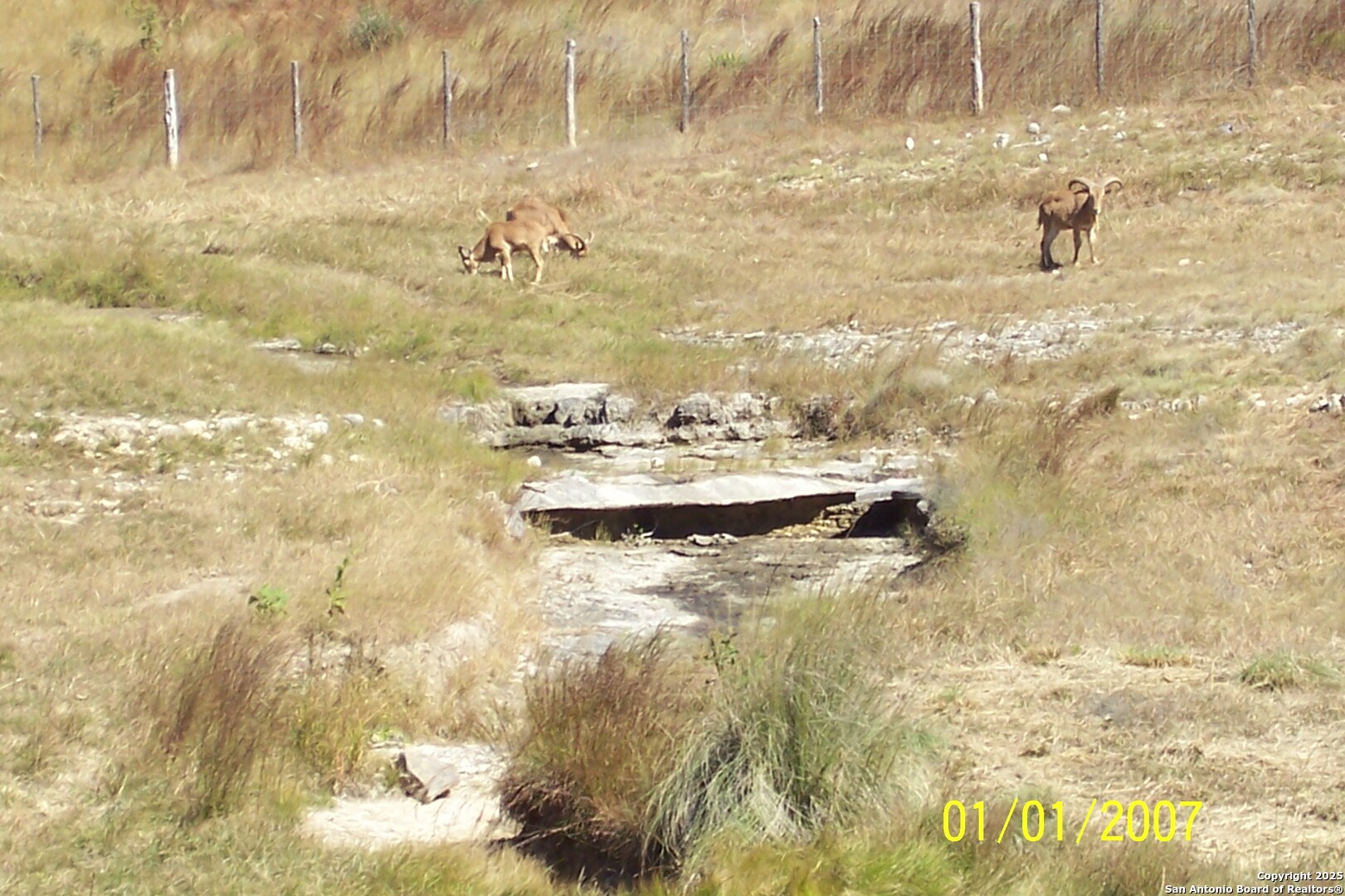 main property photo 18