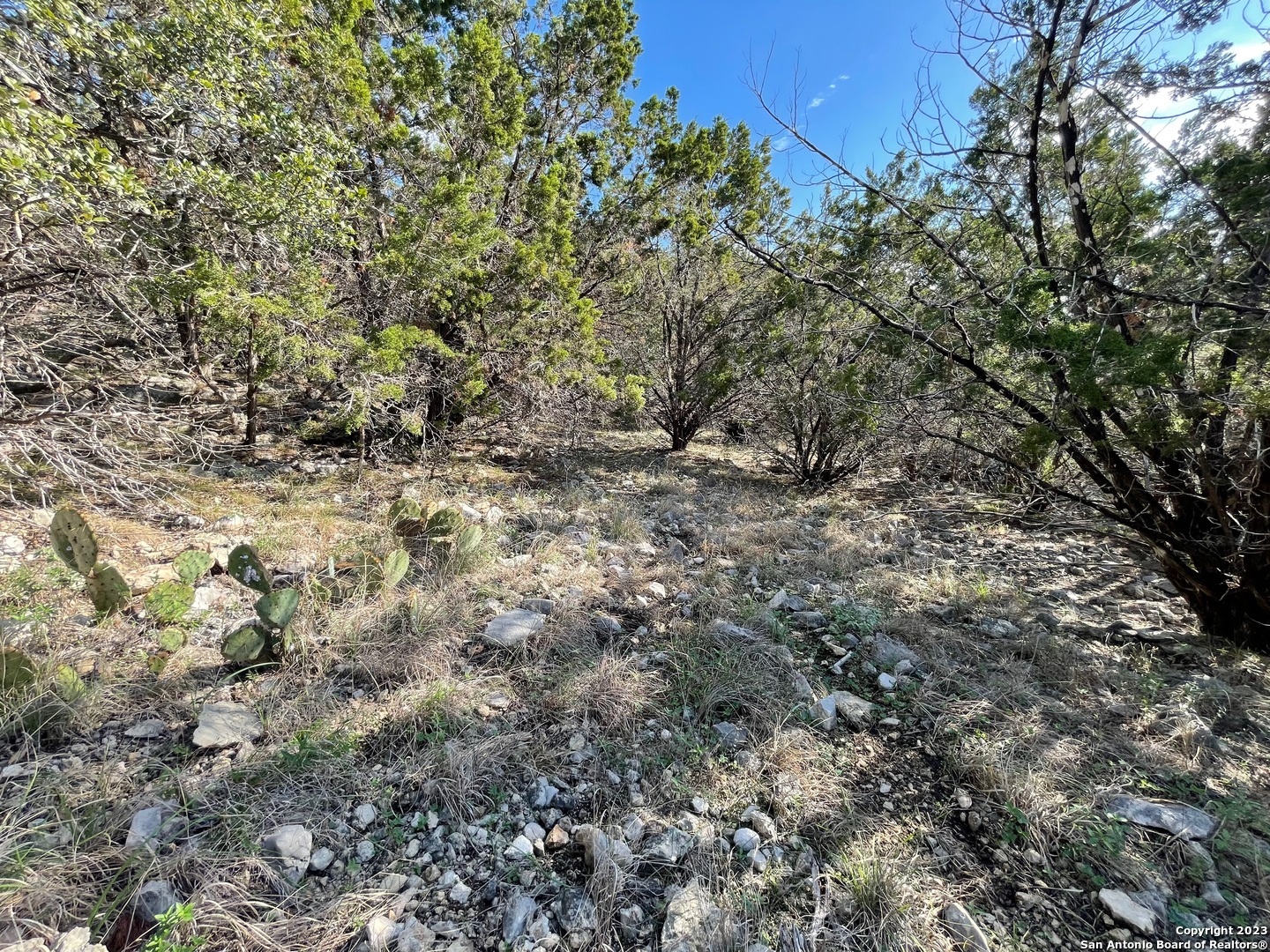 main property photo 39