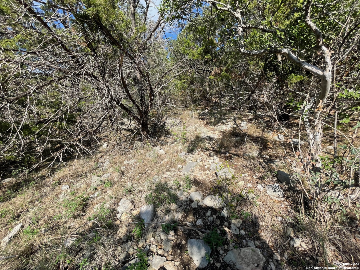 main property photo 41