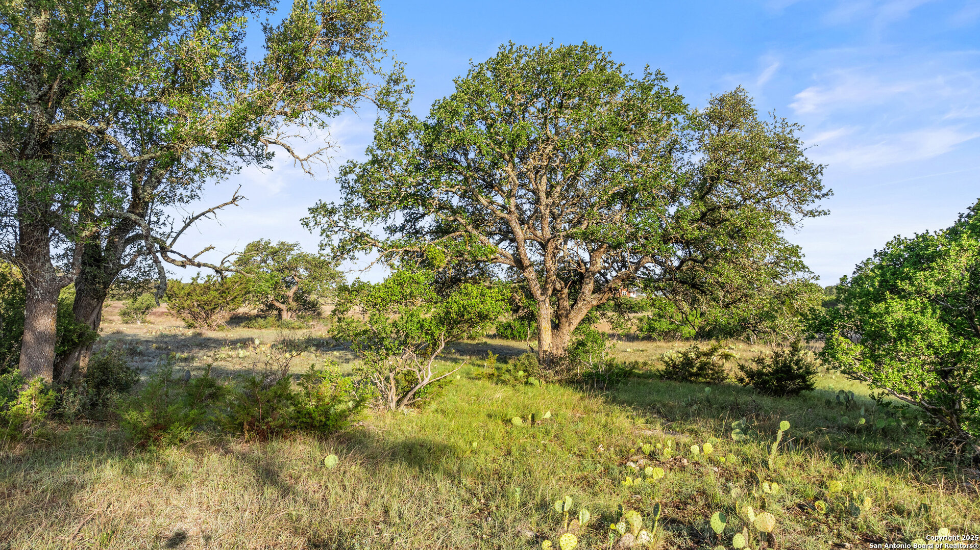 main property photo 21