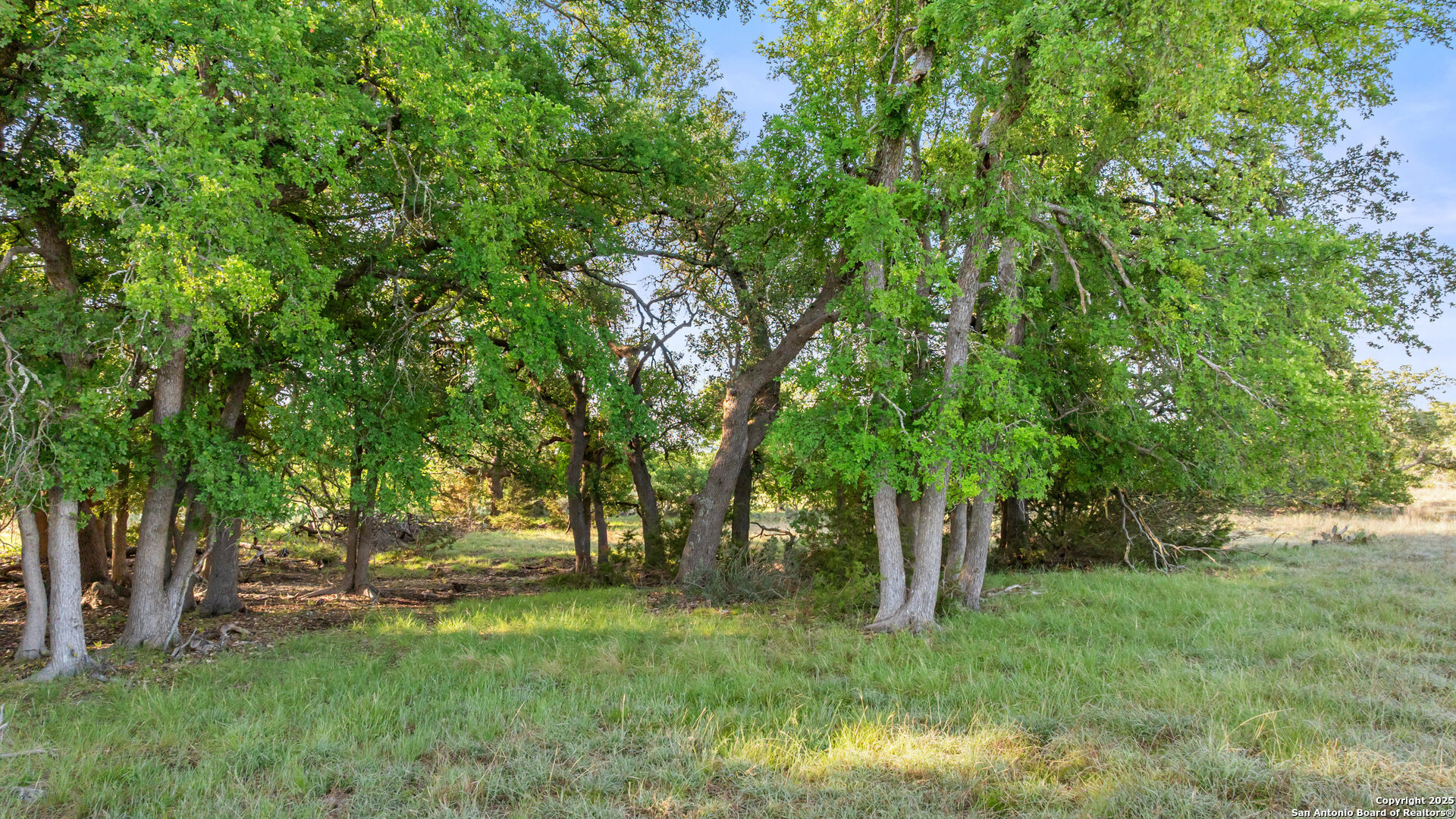 main property photo 9